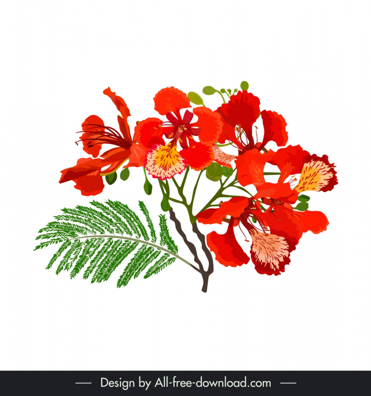 flamboyant  flowers design elements flat retro handdraw 