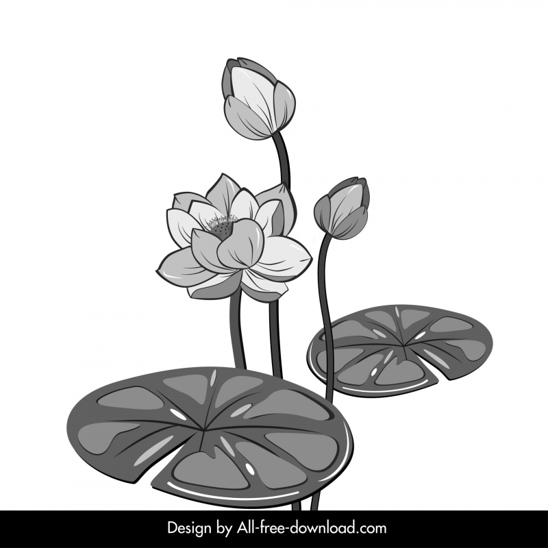 lotus flower icon classical black white handdrawn outline 