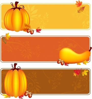 Autumn Borders
