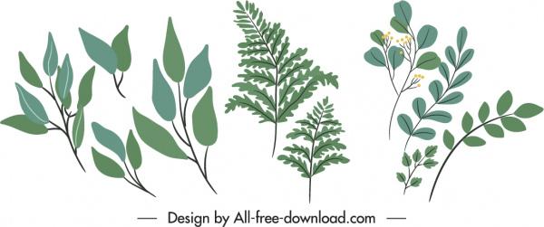 decorative nature elements classic leaves branches sketch