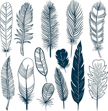 feather icons collection black white sketch