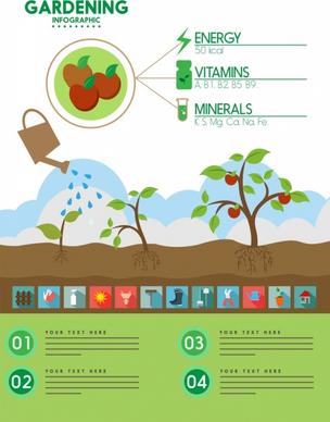 gardening work infographic fruit and tools symbols decoration
