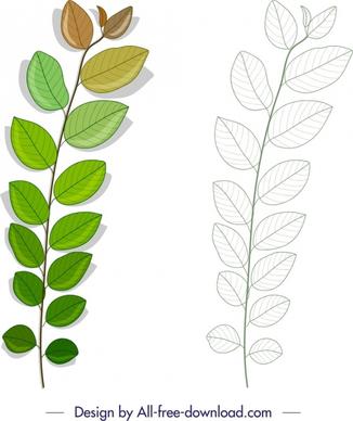 leaf icon sketch shiny modern design