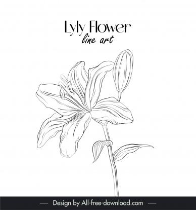 lily flower line art design elements black white handdraw