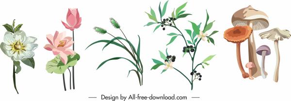 natural plant icons floras mushroom sketch