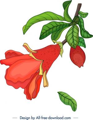 nature background pomegranate flower fruit icons decor