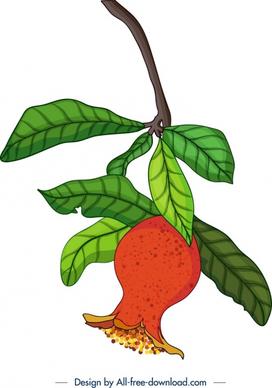 pomegranate painting bright colorful design fruit leaf icons