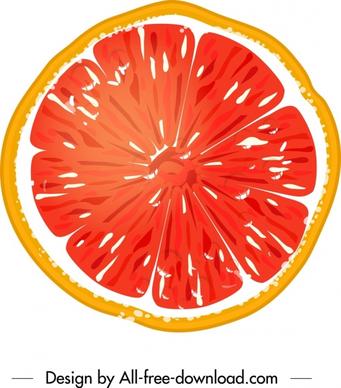 pomelo fruit icon colorful flat closeup sliced sketch