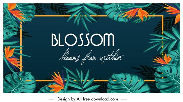 tropical nature background blossom flowers leaves decor